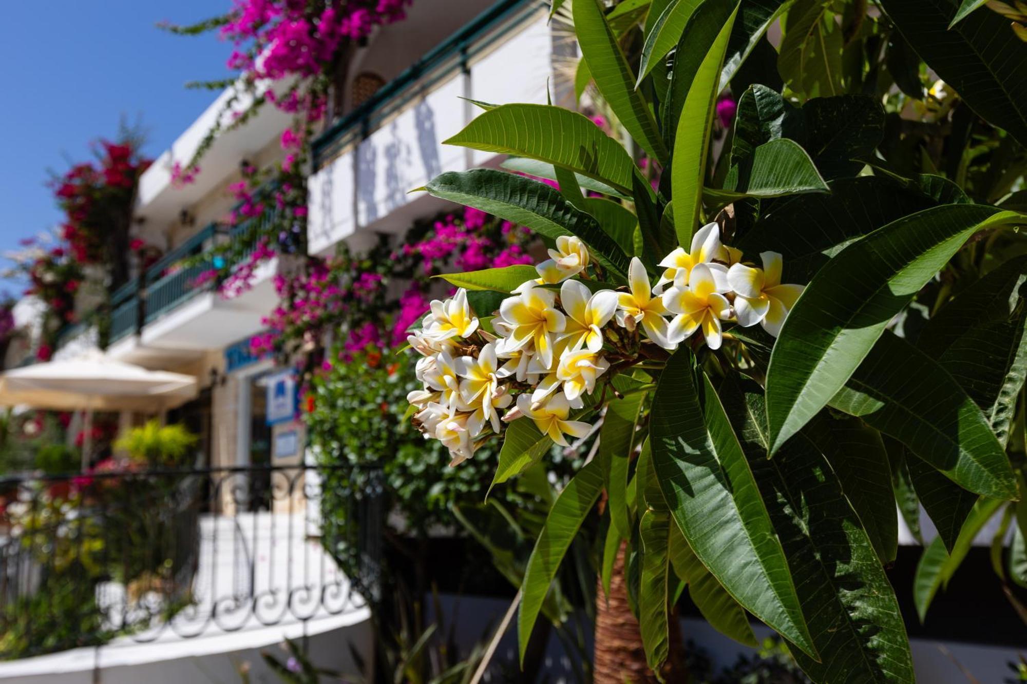 Trefon And Family Platanes (Rethymno)